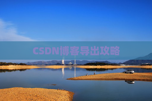 CSDN博客导出攻略